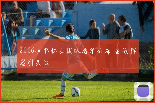2006世界杯法国队名单公布 备战阵容引关注