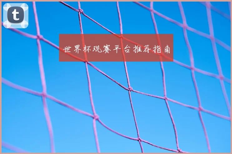 世界杯观赛平台推荐指南