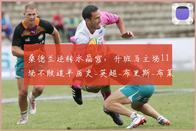 桑德兰逆转水晶宫，升班马主场11场不败追平历史_英超_布里斯_布莱恩·布罗比