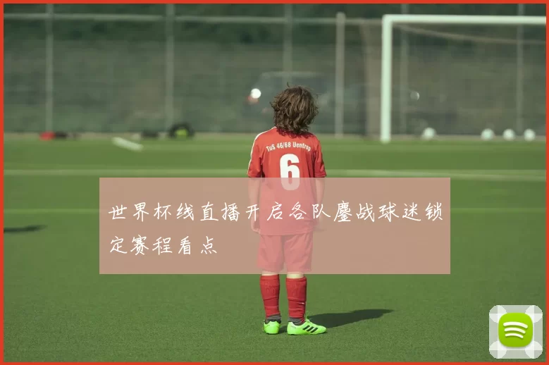 世界杯线直播开启各队鏖战球迷锁定赛程看点