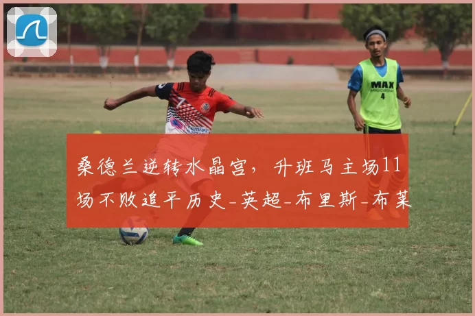 桑德兰逆转水晶宫，升班马主场11场不败追平历史_英超_布里斯_布莱恩·布罗比