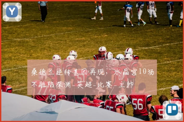 桑德兰逆转基因再现，水晶宫10场不胜陷深渊_英超_比赛_主帅