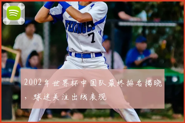2002年世界杯中国队最终排名揭晓，球迷关注出线表现