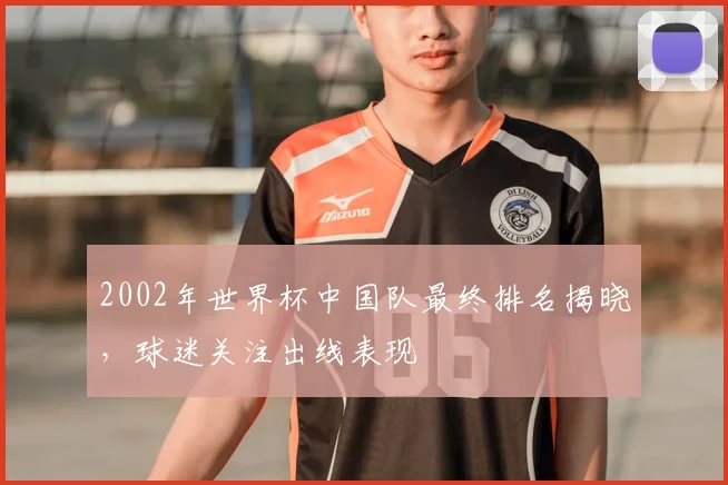 2002年世界杯中国队最终排名揭晓，球迷关注出线表现