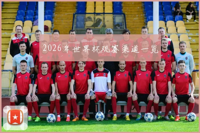 2026年世界杯观赛渠道一览