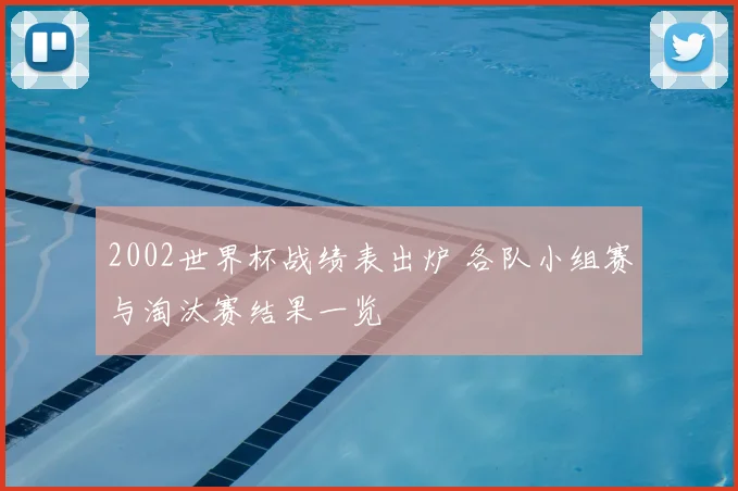 2002世界杯战绩表出炉 各队小组赛与淘汰赛结果一览