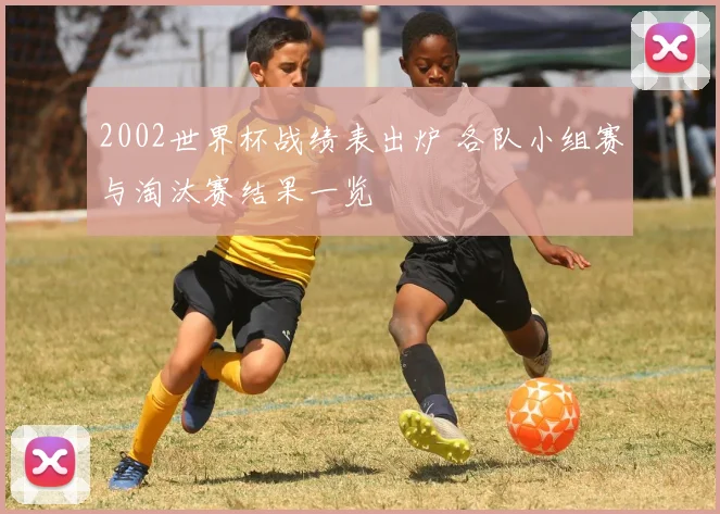 2002世界杯战绩表出炉 各队小组赛与淘汰赛结果一览